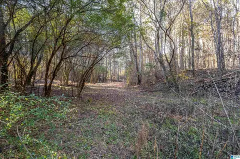 Timberland Recreational Tract