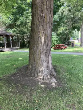 Vacant Village Commercial Lot