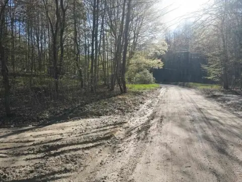 Vacant Land Near Boyne City