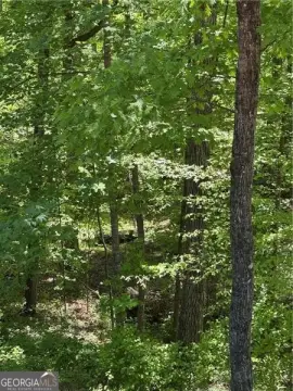 Alpharetta Land Opportunity