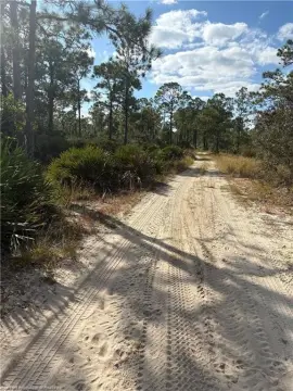 Residential Lot in Sebring, FL