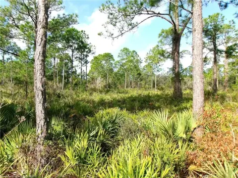 Sebring, FL Land Parcel