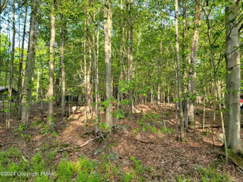 Buildable Residential Lot with Septic Ready
