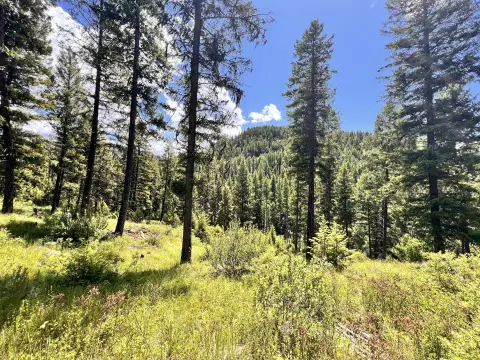 28 Acres in Republic, WA