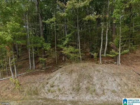 1.29 Acre Parcel in Adger