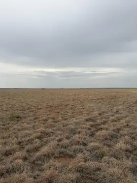 Open Agricultural Land