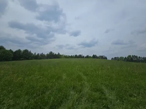 Agricultural Land with Wooded Acreage