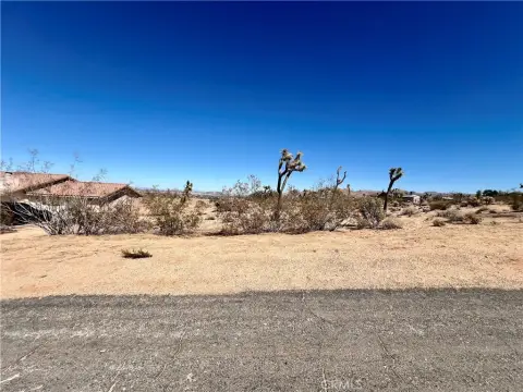 Joshua Tree Land Opportunity