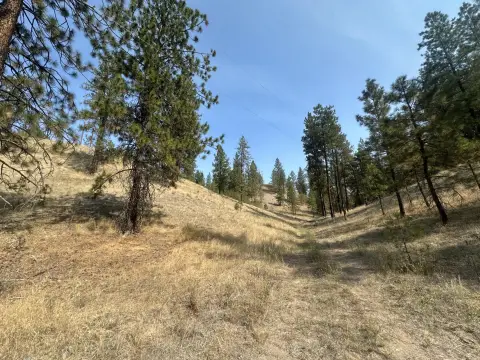 Accessible Acreage Near Highway