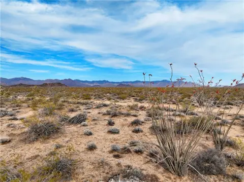 Desert Land Parcel in Yucca