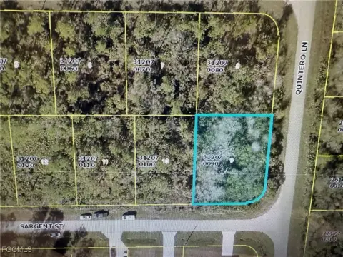 Vacant Lot in Lehigh Acres