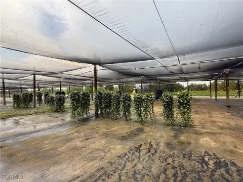 Unique Agricultural Property with Shade House