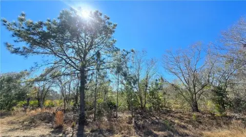 Spacious Avon Park Land Parcel