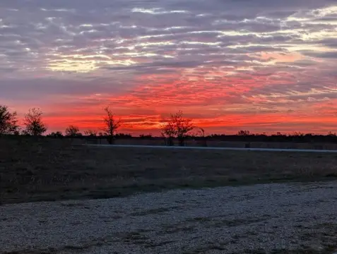 Texas Land with Homestead Potential