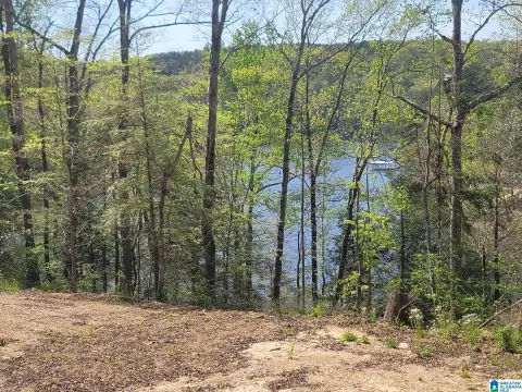Unrestricted Waterfront Lake Lot
