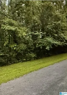 Level Lot with Mature Trees