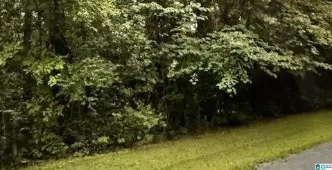 Level Lot with Mature Trees