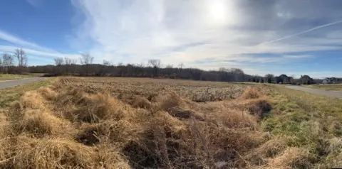 Residential Land in Mallard Pointe