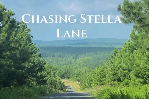 Heavily Wooded Land in Broken Bow