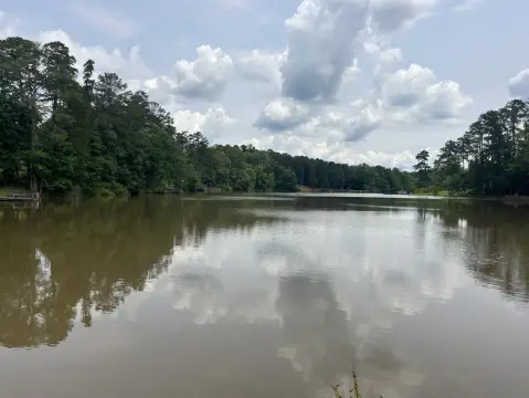 Lakefront Land in Meridian, MS