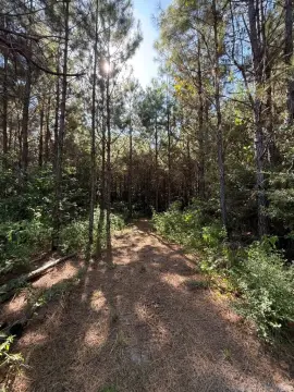 Wooded Recreation Land
