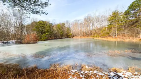 Waterfront Hunting and Recreation Land