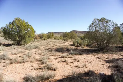 40+ Acres of Raw Land