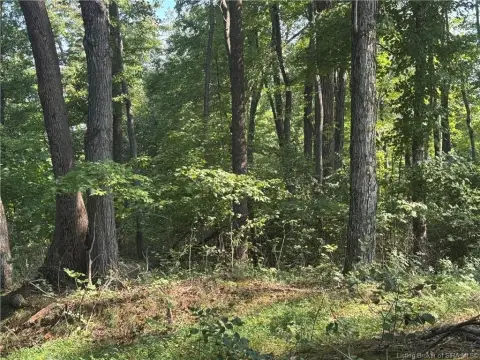 Wooded Agricultural Land