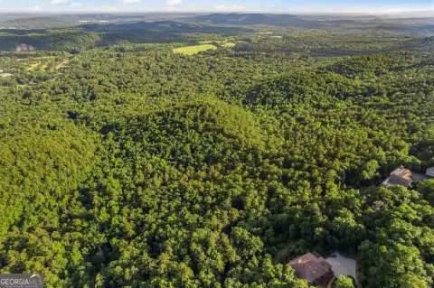 Wooded Land with Long-Range Views