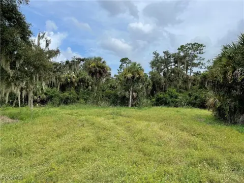 20 Acres Pasture and Woods