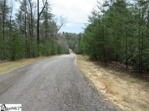 Wooded Lot in Pickens, SC