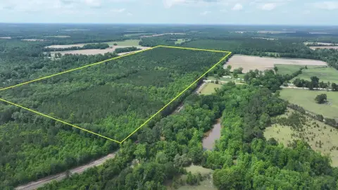 Houston County Vacant Land Opportunity