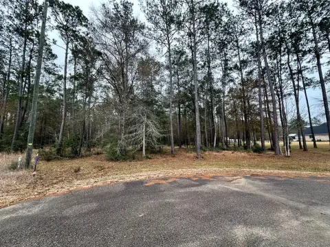 Spacious Residential Lot in Kountze