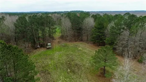 East Texas Timber Hunting Tract
