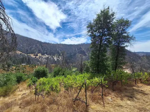 Vineyard Land With Building Pads