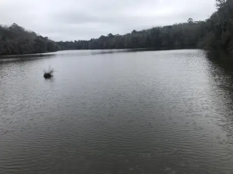 Waterfront Lot on Lake Talquin