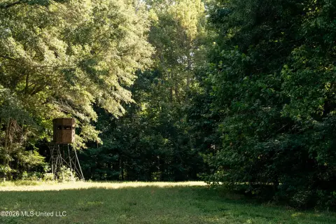 Lakefront Hunting Land