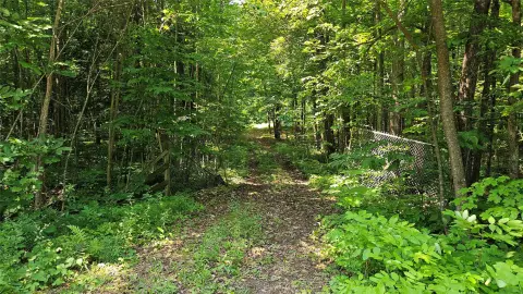 Wooded Hunting Parcel with Improvements
