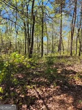 Lakefront Lot in Hartwell, GA