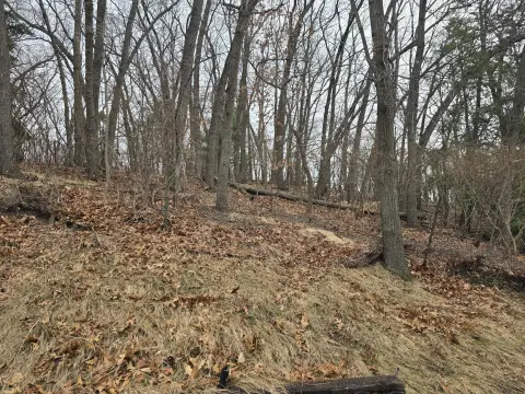 Long Beach Buildable Wooded Lot