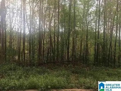 Residential Land in Prime Location