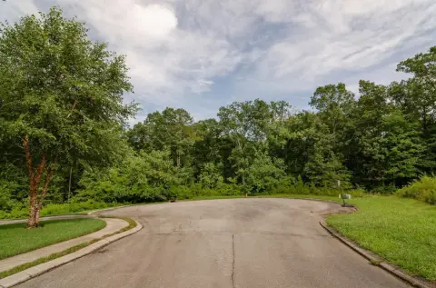 Residential Lot in Soddy Daisy