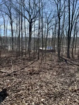 Dunlap, TN Wooded Lot