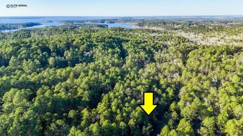 Rayburn Resort Lot Opportunity