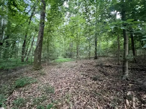 6+ Acres Buildable Land