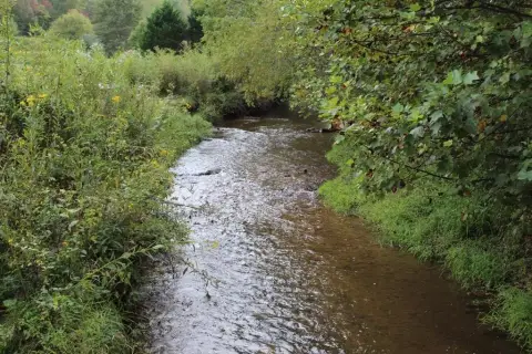 Brasstown, NC Creek Front Lot