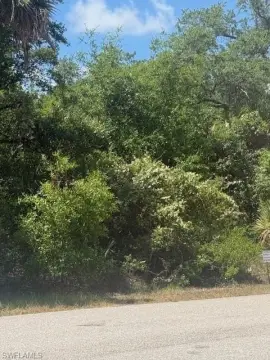 Port Charlotte Homesite Opportunity