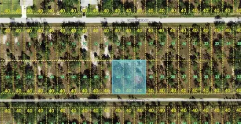 Punta Gorda Land Package