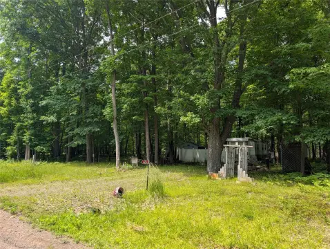 Wooded Lot with Park Model Camper
