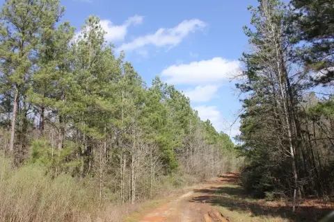 Unrestricted Land with Rolling Terrain